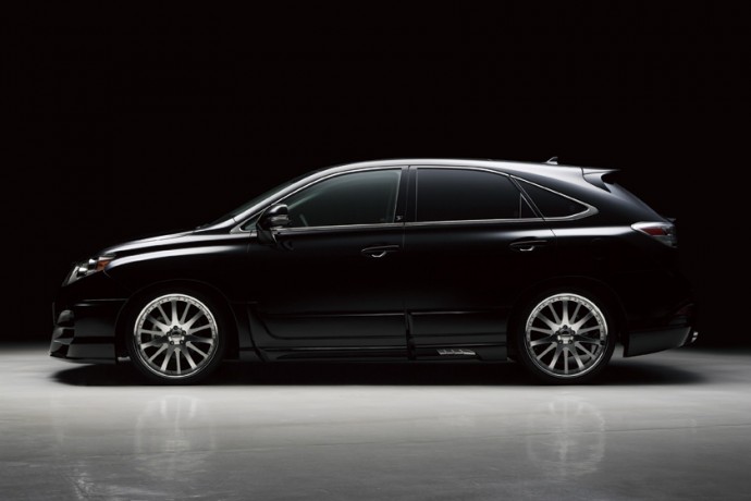 Накладки на двери "Wald Black Bison" для Lexus RX 350, RX 450 (AL10, 2009-2012) купить недорого с доставкой в Бердск