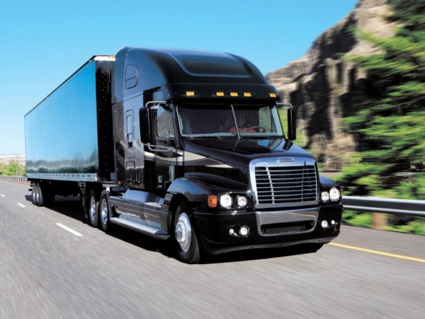 Накладки на фары Freightliner FLC 120 купить недорого с доставкой в Бердск